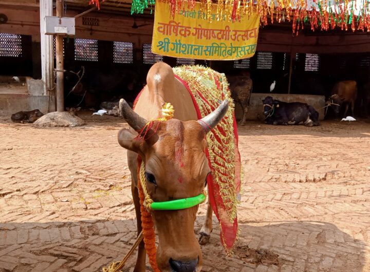गोपाष्टमी-सभ्यता-एवं-संस्कृति-का-मूल-है-गाय-और-गंगा